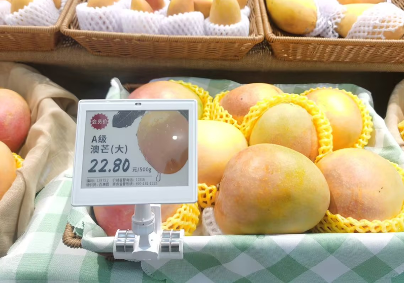 Polaris Pro in Pagoda store.png